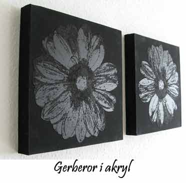 Gerbera 30 x 30 cm